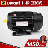 มอเตอร์ไฟฟ้า ETP 1 HP 220V 1450 RPM รอบช้า ทองแดงแท้ แกนเพลา 19 มม. - รูปที่ 4