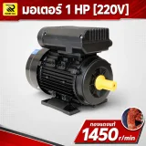 มอเตอร์ไฟฟ้า ETP 1 HP 220V 1450 RPM รอบช้า ทองแดงแท้ แกนเพลา 19 มม. - รูปที่ 5