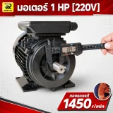 มอเตอร์ไฟฟ้า ETP 1 HP 220V 1450 RPM รอบช้า ทองแดงแท้ แกนเพลา 19 มม. - รูปที่ 3