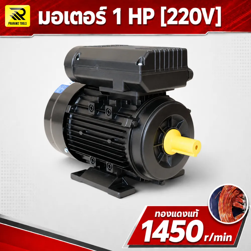 มอเตอร์ไฟฟ้า ETP 1 HP 220V 1450 RPM รอบช้า ทองแดงแท้ แกนเพลา 19 มม. - รูปที่ 5