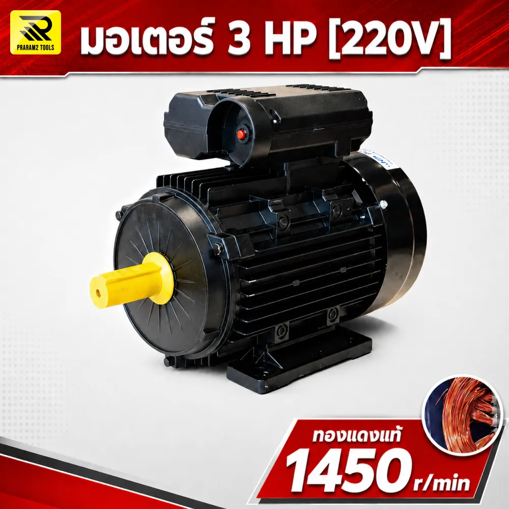 มอเตอร์ไฟฟ้า ETP 3 HP 220V รุ่น ML100L1-4 รอบช้า 1450 RPM แกนเพลา 28 มม.