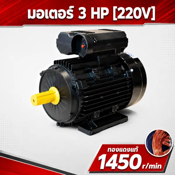 มอเตอร์ไฟฟ้า ETP 3 HP 220V รุ่น ML100L1-4 รอบช้า 1450 RPM แกนเพลา 28 มม.