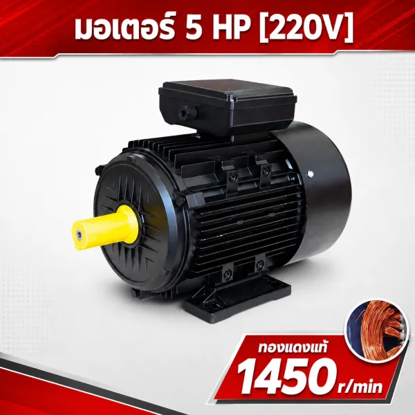 มอเตอร์ไฟฟ้า ETP 5 HP 220V รุ่น ML132S-4 รอบช้า 1450 RPM แกนเพลา 38 มม.