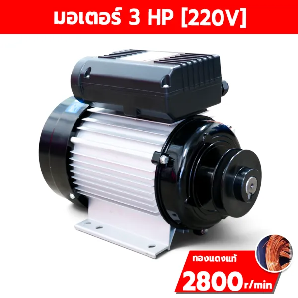 มอเตอร์ไฟฟ้า ETP 3 HP 220V รุ่น MY100L1-2 รอบเร็ว 2800 RPM ขดลวดทองแดง